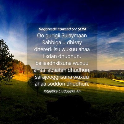 Picture 04 - Boqorradii Kowaad 6:2 SOM - Oo gurigii Sulaymaan Rabbiga u dhisay dhererkiisu - Bible Verse Picture