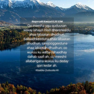 Picture 04 - Boqorradii Kowaad 6:20 SOM - Oo meesha ugu quduusan waxay lahayd meel - Bible Verse Picture