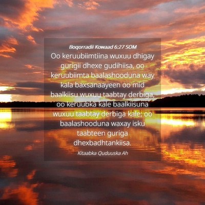 Picture 04 - Boqorradii Kowaad 6:27 SOM - Oo keruubiimtiina wuxuu dhigay gurigii dhexe - Bible Verse Picture