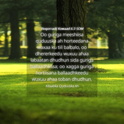 Picture 04 - Boqorradii Kowaad 6:3 SOM - Oo guriga meeshiisa quduuska ah horteedana waxaa - Bible Verse Picture
