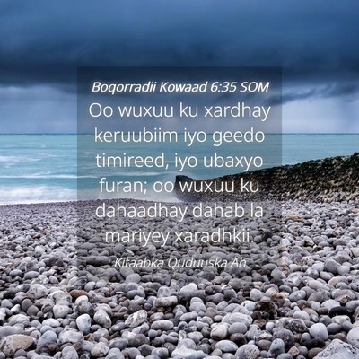 Picture 04 - Boqorradii Kowaad 6:35 SOM - Oo wuxuu ku xardhay keruubiim iyo geedo timireed, - Bible Verse Picture