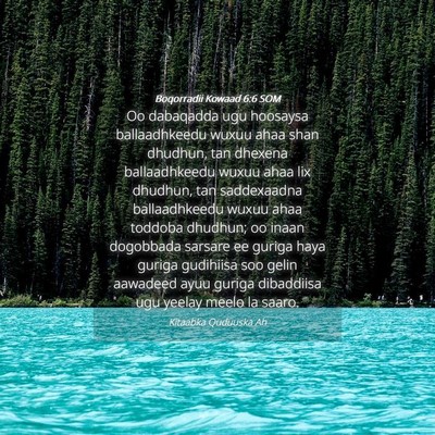 Picture 04 - Boqorradii Kowaad 6:6 SOM - Oo dabaqadda ugu hoosaysa ballaadhkeedu wuxuu - Bible Verse Picture