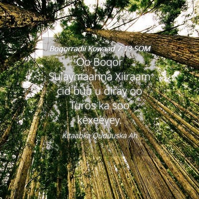 Picture 04 - Boqorradii Kowaad 7:13 SOM - Oo Boqor Sulaymaanna Xiiraam cid buu u diray oo - Bible Verse Picture