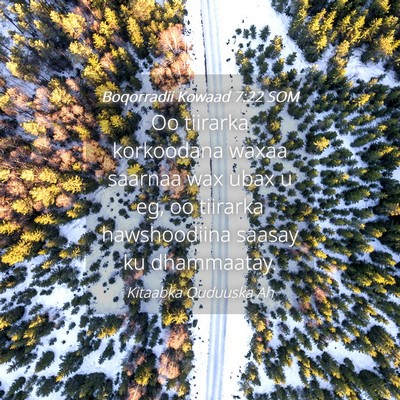 Picture 04 - Boqorradii Kowaad 7:22 SOM - Oo tiirarka korkoodana waxaa saarnaa wax ubax u - Bible Verse Picture