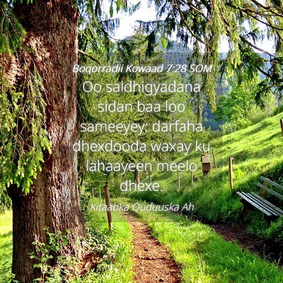 Picture 04 - Boqorradii Kowaad 7:28 SOM - Oo saldhigyadana sidan baa loo sameeyey; darfaha - Bible Verse Picture