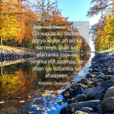 Picture 04 - Boqorradii Kowaad 7:3 SOM - Oo waxaa ku dednaa qoryo kedar ah oo ka sarreeya - Bible Verse Picture