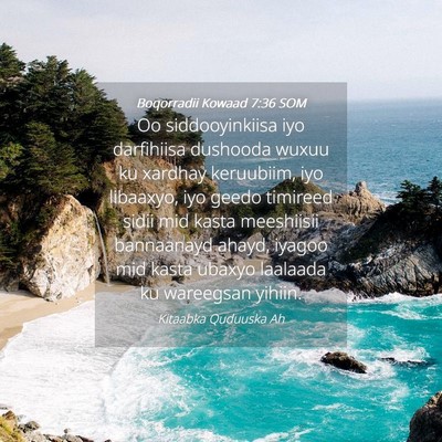 Picture 04 - Boqorradii Kowaad 7:36 SOM - Oo siddooyinkiisa iyo darfihiisa dushooda wuxuu - Bible Verse Picture