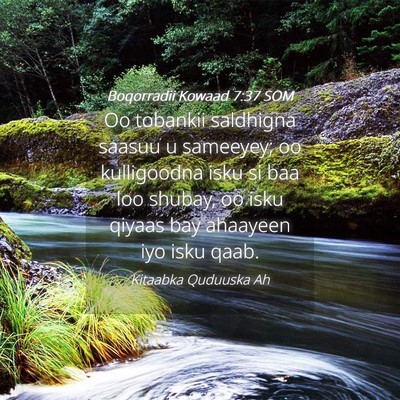 Picture 04 - Boqorradii Kowaad 7:37 SOM - Oo tobankii saldhigna saasuu u sameeyey; oo - Bible Verse Picture