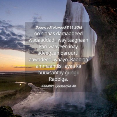 Picture 04 - Boqorradii Kowaad 8:11 SOM - oo sidaas daraaddeed wadaaddadii way taagnaan - Bible Verse Picture