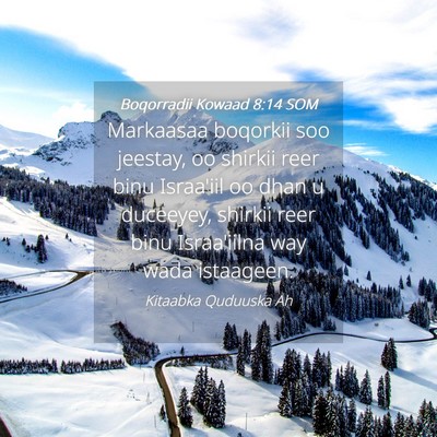 Picture 04 - Boqorradii Kowaad 8:14 SOM - Markaasaa boqorkii soo jeestay, oo shirkii reer - Bible Verse Picture