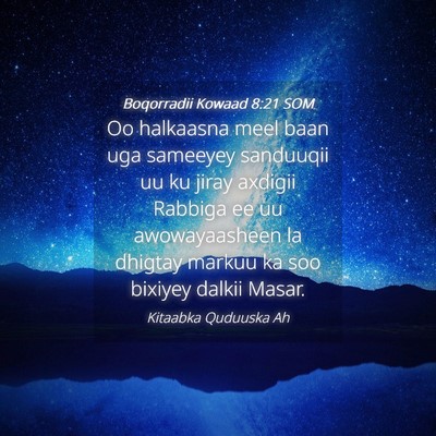 Picture 04 - Boqorradii Kowaad 8:21 SOM - Oo halkaasna meel baan uga sameeyey sanduuqii uu - Bible Verse Picture