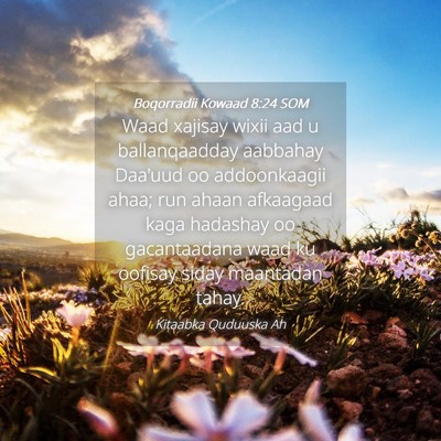 Picture 04 - Boqorradii Kowaad 8:24 SOM - Waad xajisay wixii aad u ballanqaadday aabbahay - Bible Verse Picture
