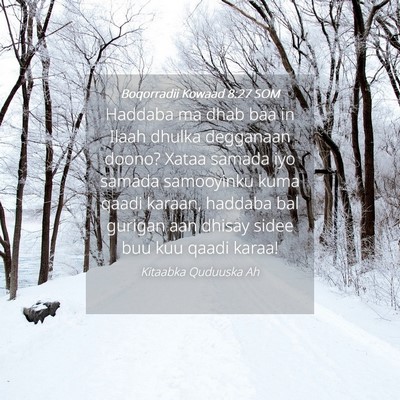 Picture 04 - Boqorradii Kowaad 8:27 SOM - Haddaba ma dhab baa in Ilaah dhulka degganaan - Bible Verse Picture