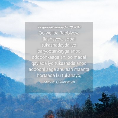 Picture 04 - Boqorradii Kowaad 8:28 SOM - Oo weliba Rabbiyow, Ilaahayow, aqbal tukashadayda - Bible Verse Picture
