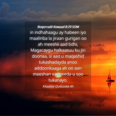 Picture 04 - Boqorradii Kowaad 8:29 SOM - in indhahaagu ay habeen iyo maalinba la jiraan - Bible Verse Picture