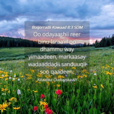 Picture 04 - Boqorradii Kowaad 8:3 SOM - Oo odayaashii reer binu Israa'iil oo dhammu way - Bible Verse Picture