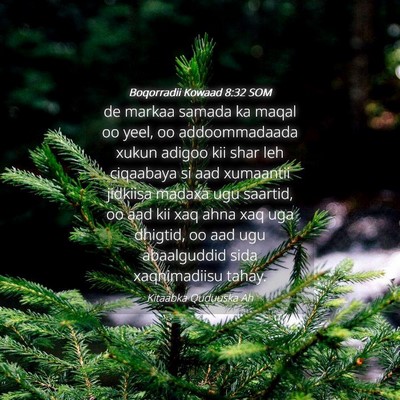 Picture 04 - Boqorradii Kowaad 8:32 SOM - de markaa samada ka maqal oo yeel, oo - Bible Verse Picture
