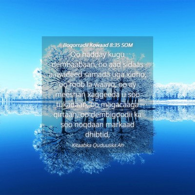 Picture 04 - Boqorradii Kowaad 8:35 SOM - Oo hadday kugu dembaabaan, oo aad sidaas aawadeed - Bible Verse Picture