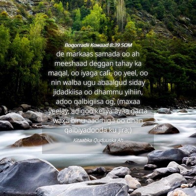 Picture 04 - Boqorradii Kowaad 8:39 SOM - de markaas samada oo ah meeshaad deggan tahay ka - Bible Verse Picture