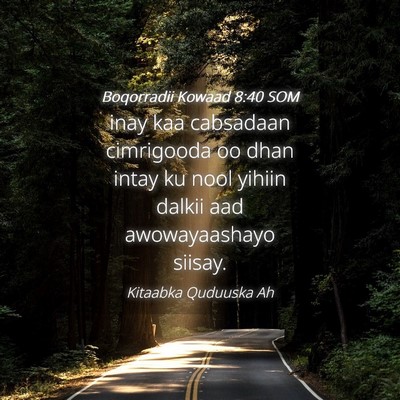 Picture 04 - Boqorradii Kowaad 8:40 SOM - inay kaa cabsadaan cimrigooda oo dhan intay ku - Bible Verse Picture