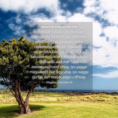 Picture 04 - Boqorradii Kowaad 8:48 SOM - oo hadday kuugu soo noqdaan qalbigooda oo dhan - Bible Verse Picture
