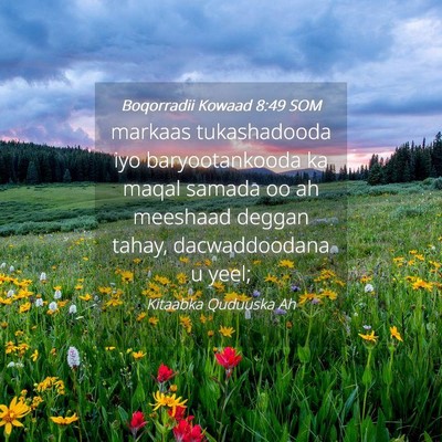 Picture 04 - Boqorradii Kowaad 8:49 SOM - markaas tukashadooda iyo baryootankooda ka maqal - Bible Verse Picture
