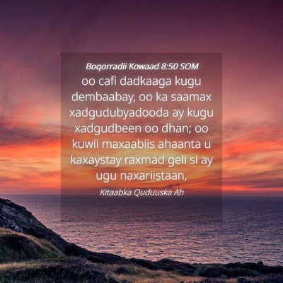 Picture 04 - Boqorradii Kowaad 8:50 SOM - oo cafi dadkaaga kugu dembaabay, oo ka saamax - Bible Verse Picture