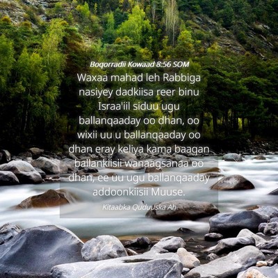Picture 04 - Boqorradii Kowaad 8:56 SOM - Waxaa mahad leh Rabbiga nasiyey dadkiisa reer - Bible Verse Picture