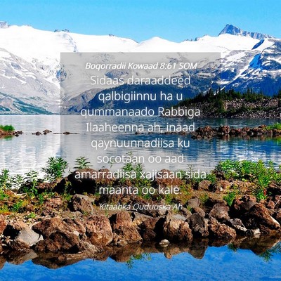 Picture 04 - Boqorradii Kowaad 8:61 SOM - Sidaas daraaddeed qalbigiinnu ha u qummanaado - Bible Verse Picture