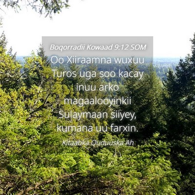 Picture 04 - Boqorradii Kowaad 9:12 SOM - Oo Xiiraamna wuxuu Turos uga soo kacay inuu arko - Bible Verse Picture