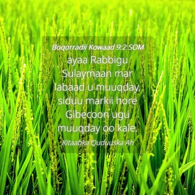 Picture 04 - Boqorradii Kowaad 9:2 SOM - ayaa Rabbigu Sulaymaan mar labaad u muuqday, - Bible Verse Picture