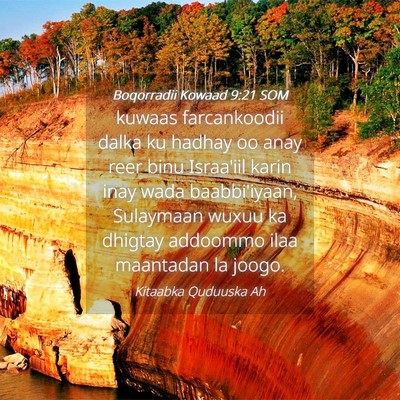 Picture 04 - Boqorradii Kowaad 9:21 SOM - kuwaas farcankoodii dalka ku hadhay oo anay reer - Bible Verse Picture