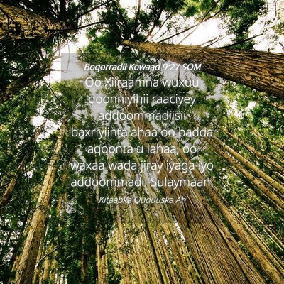 Picture 04 - Boqorradii Kowaad 9:27 SOM - Oo Xiiraamna wuxuu doonniyihii raaciyey - Bible Verse Picture