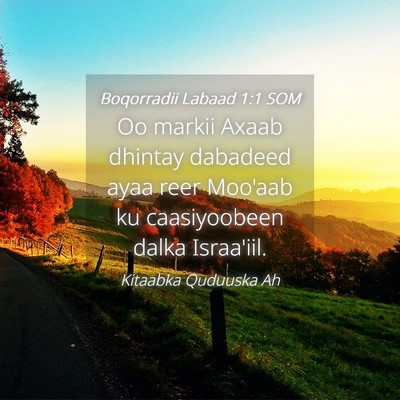Picture 04 - Boqorradii Labaad 1:1 SOM - Oo markii Axaab dhintay dabadeed ayaa reer - Bible Verse Picture