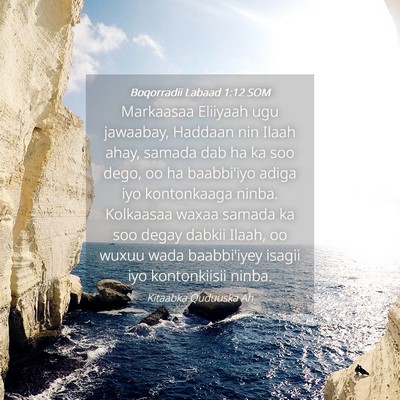 Picture 04 - Boqorradii Labaad 1:12 SOM - Markaasaa Eliiyaah ugu jawaabay, Haddaan nin - Bible Verse Picture