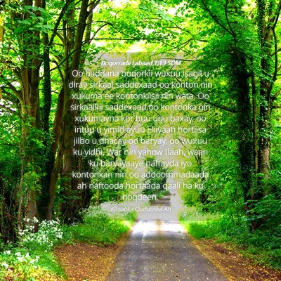 Picture 04 - Boqorradii Labaad 1:13 SOM - Oo haddana boqorkii wuxuu isagii u diray sirkaal - Bible Verse Picture