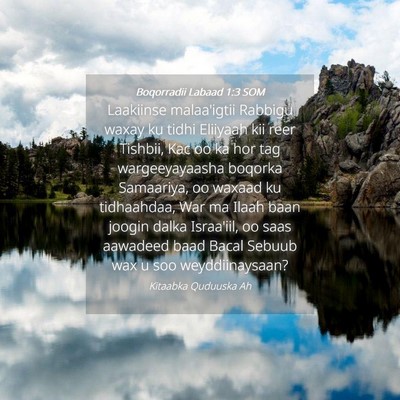 Picture 04 - Boqorradii Labaad 1:3 SOM - Laakiinse malaa'igtii Rabbigu waxay ku tidhi - Bible Verse Picture