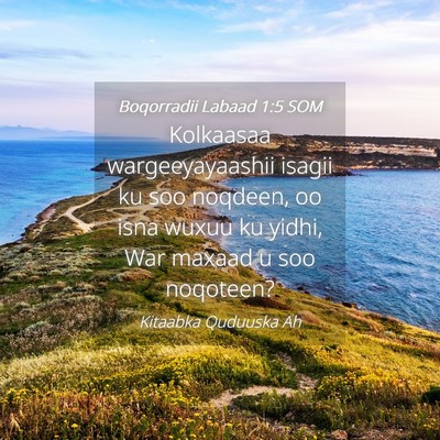 Picture 04 - Boqorradii Labaad 1:5 SOM - Kolkaasaa wargeeyayaashii isagii ku soo noqdeen, - Bible Verse Picture
