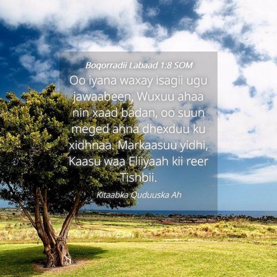 Picture 04 - Boqorradii Labaad 1:8 SOM - Oo iyana waxay isagii ugu jawaabeen, Wuxuu ahaa - Bible Verse Picture