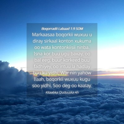 Picture 04 - Boqorradii Labaad 1:9 SOM - Markaasaa boqorkii wuxuu u diray sirkaal konton - Bible Verse Picture