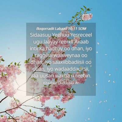 Picture 04 - Boqorradii Labaad 10:11 SOM - Sidaasuu Yeehuu Yesreceel ugu laayay reerkii - Bible Verse Picture
