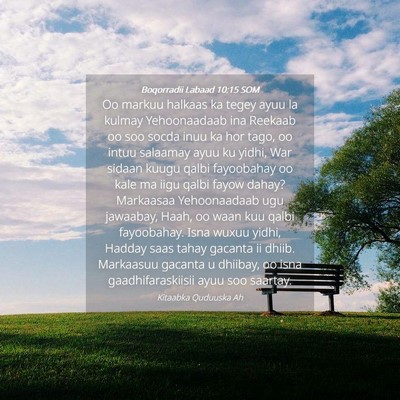 Picture 04 - Boqorradii Labaad 10:15 SOM - Oo markuu halkaas ka tegey ayuu la kulmay - Bible Verse Picture