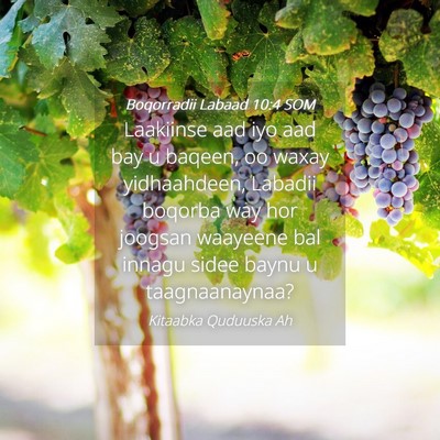 Picture 04 - Boqorradii Labaad 10:4 SOM - Laakiinse aad iyo aad bay u baqeen, oo waxay - Bible Verse Picture