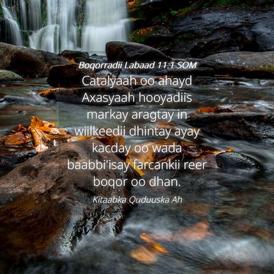 Picture 04 - Boqorradii Labaad 11:1 SOM - Catalyaah oo ahayd Axasyaah hooyadiis markay - Bible Verse Picture