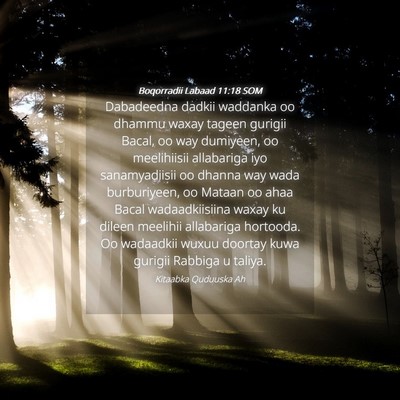 Picture 04 - Boqorradii Labaad 11:18 SOM - Dabadeedna dadkii waddanka oo dhammu waxay tageen - Bible Verse Picture