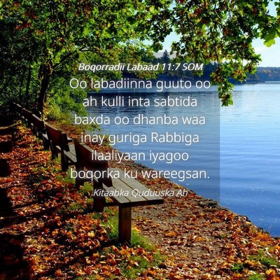 Picture 04 - Boqorradii Labaad 11:7 SOM - Oo labadiinna guuto oo ah kulli inta sabtida - Bible Verse Picture