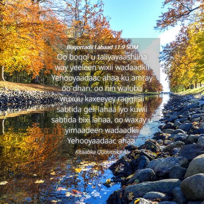 Picture 04 - Boqorradii Labaad 11:9 SOM - Oo boqol u taliyayaashiina way yeeleen wixii - Bible Verse Picture