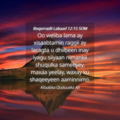 Picture 04 - Boqorradii Labaad 12:15 SOM - Oo weliba lama ay xisaabtamin raggii ay lacagta u - Bible Verse Picture