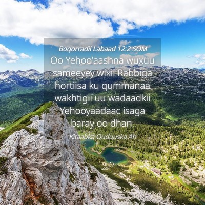 Picture 04 - Boqorradii Labaad 12:2 SOM - Oo Yehoo'aashna wuxuu sameeyey wixii Rabbiga - Bible Verse Picture