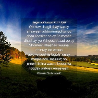 Picture 04 - Boqorradii Labaad 12:21 SOM - Oo kuwii isagii dilay waxay ahaayeen - Bible Verse Picture